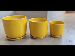 Pottini di ceramica durevoli e convenienti per le vostre necessità di piantagione Disponibili in varie dimensioni