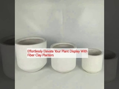 Alza senza sforzo la tua vetrina con piantatrici in argilla di fibra