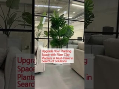 Migliora il tuo spazio coltivato con piantatrici in argilla di fibra