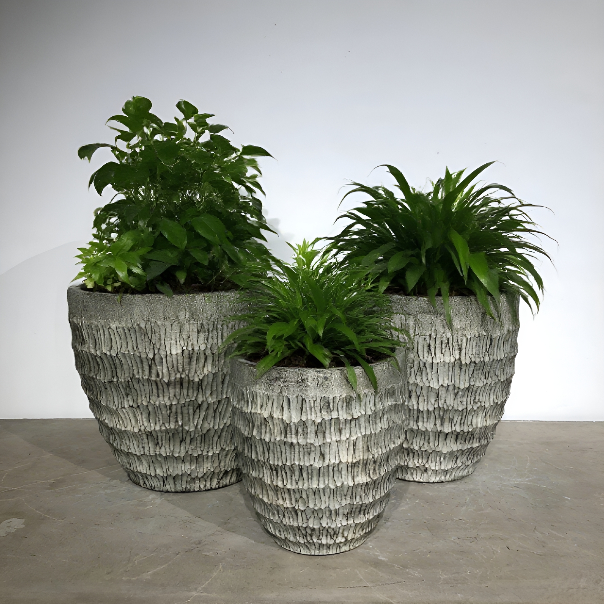 Ultimi blog aziendali su Vaso di fiori di cemento: salda   Wabi - Sabi Style   in vita