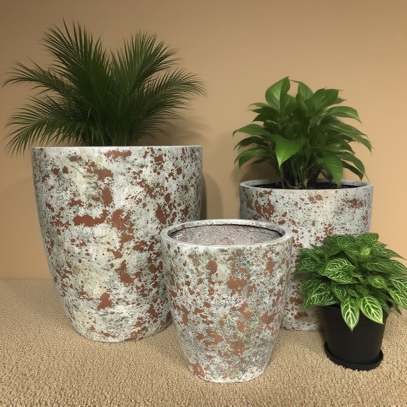 Ultimi blog aziendali su Vasi di Fiori in Cemento | Porta lo 