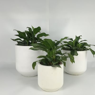 comprare Piantatrici di cemento da giardino leggere per decorazioni interne ed esterne online manufacture