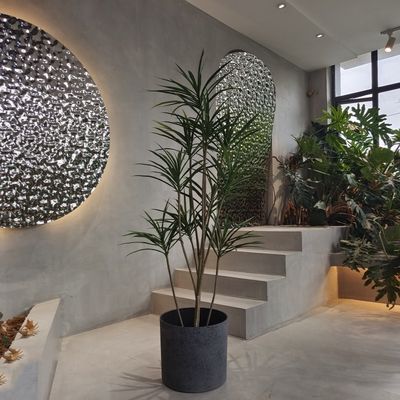 comprare Piantatrici di plastica circolata e riciclata leggere per piantare sementi online manufacture