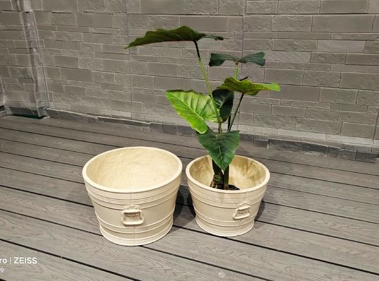 comprare Scopri il piantino perfetto in argilla di fibra per il tuo giardino online manufacture