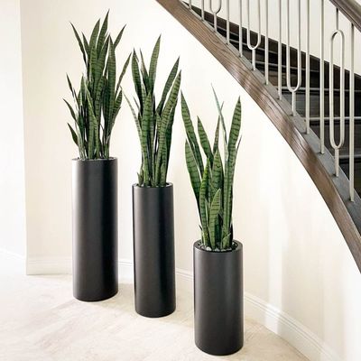 comprare Ottieni le migliori offerte su vasi da fiore in fibra di vetro durevoli e eleganti per il tuo giardino online manufacture