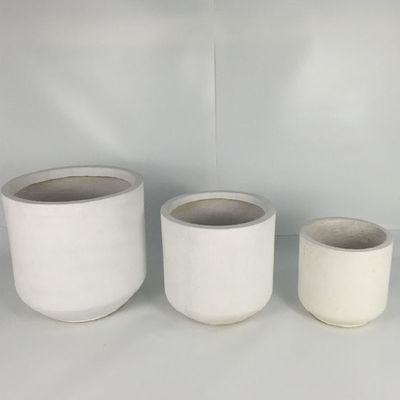 comprare Al dettaglio Display di piante reali con piantatrici in fibra di argilla online manufacture
