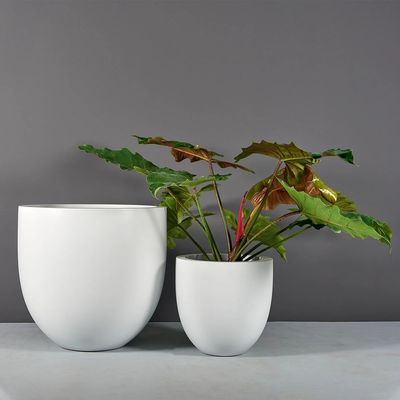 Set di vasi da fiori in resina di fibra di vetro per giardini succulenti