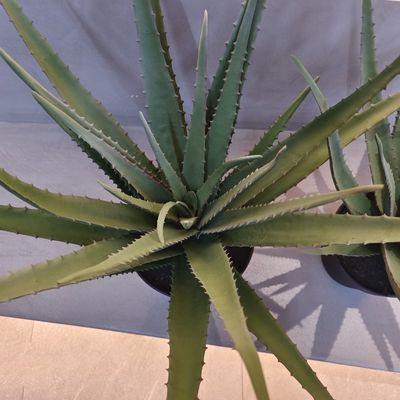 Pianta di aloe di plastica simile alla vita Artificiale all'aperto Arredamento artificiale di aloe vera
