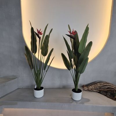 Affascinante Palma Falla Hypoallergenic Prodotta per l'arredamento interno ed esterno