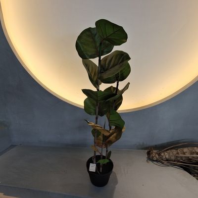 100 cm Albero artificiale di Coccoloba Resistente agli UV