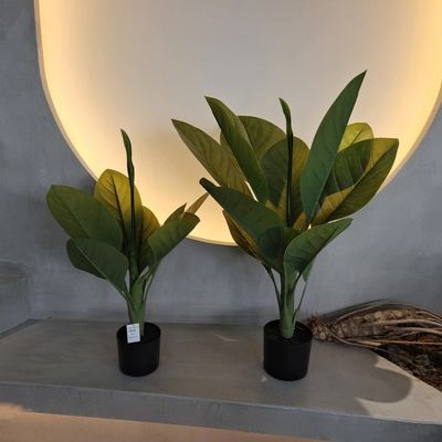Materiale di plastica di lunga durata Piante artificiali 70 cm Dieffenbachia artificiale