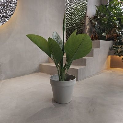 Vibranti pentole da giardino in plastica ecologica impermeabili 250*175*230MM