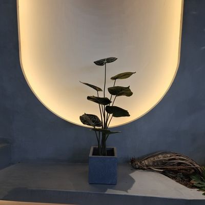Piante artificiali di plastica eco-compatibili reali Piante artificiali per interni 90cm