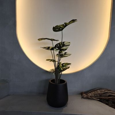 Falsos monstera resistente agli insetti 70-100 cm per decorazioni a bassa manutenzione