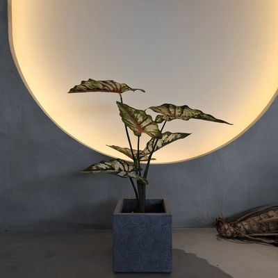 Piante artificiali di plastica verde simili alla vita 70-120 cm per decorazioni interne / esterne
