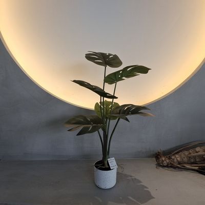 70 cm Monstera artificiale Albero piante artificiali per la casa per interni / esterni