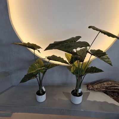 Piante artificiali di plastica ipoallergenica Realistic UV resistente 70-95CM