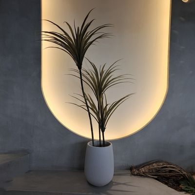 Yucca artificiale Falsità di pianta resistente agli insetti impermeabile 160 cm