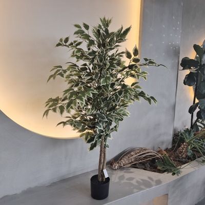 Piante di plastica ipoallergeniche resistenti agli insetti 120 cm