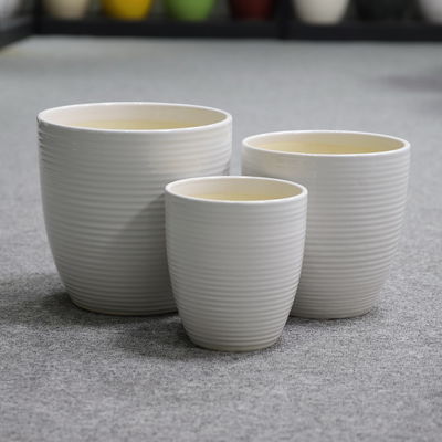 Impressionante esposizione delle piante con le nostre pentole in ceramica Diverse dimensioni Pentole di ceramica disponibili