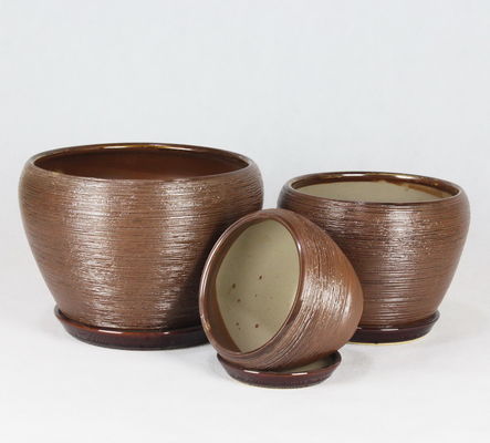 Pottine di ceramica facili da pulire per succulenti e cactus Di varie dimensioni disponibili