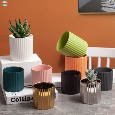 Pottini di ceramica personalizzabili per soddisfare le esigenze specifiche di piantagione