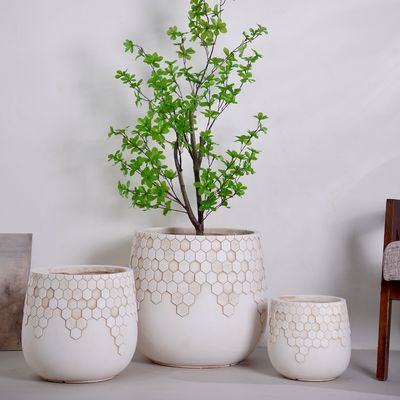 Piccole piastre di fiori eco-compatibili per la decorazione domestica