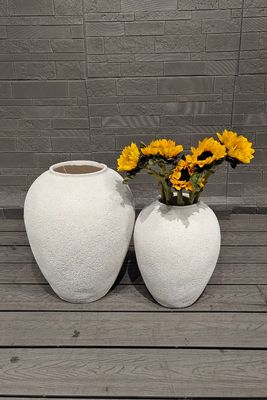 Fori di drenaggio nel vaso rotondo in fibrocemento per gli amanti delle piante